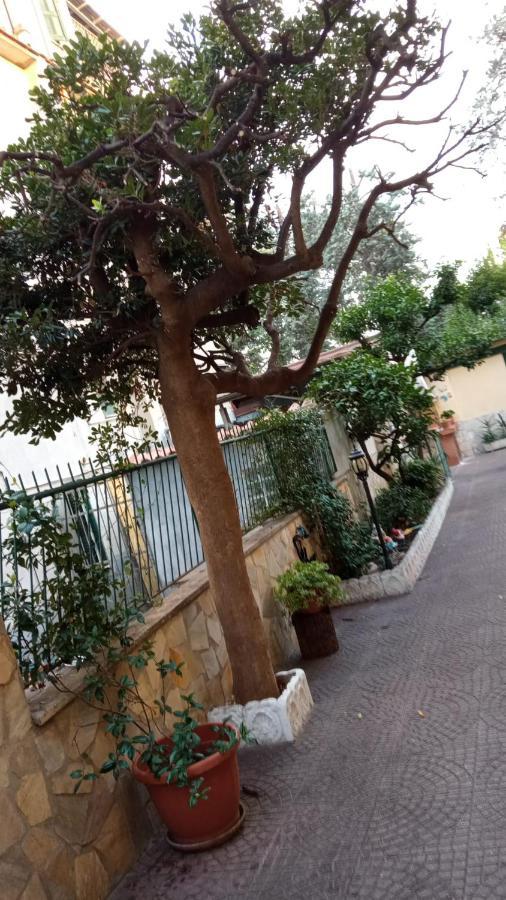 Apartmán Casa Diana Řím Exteriér fotografie